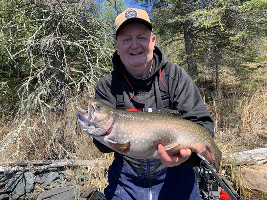 Brook Trout
