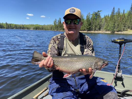 Brook Trout