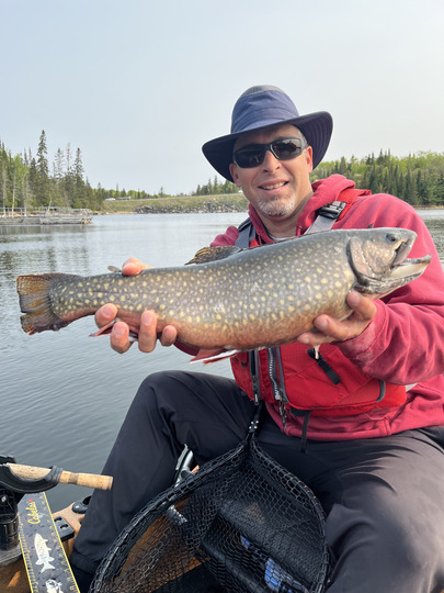 Brook Trout
