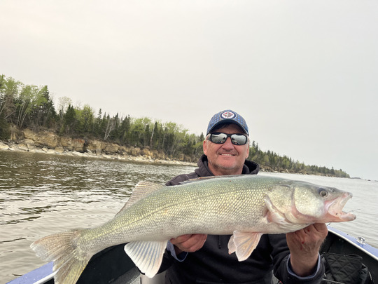 Walleye