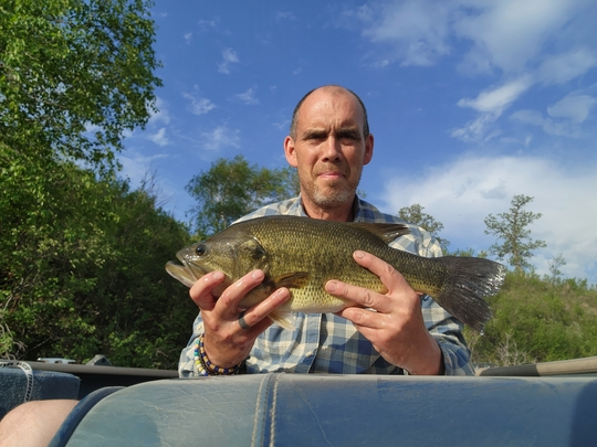 Largemouth Bass