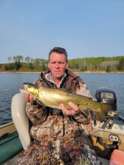 Tiger Trout