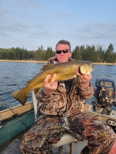 Tiger Trout