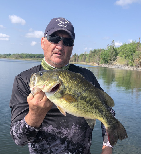 Largemouth Bass