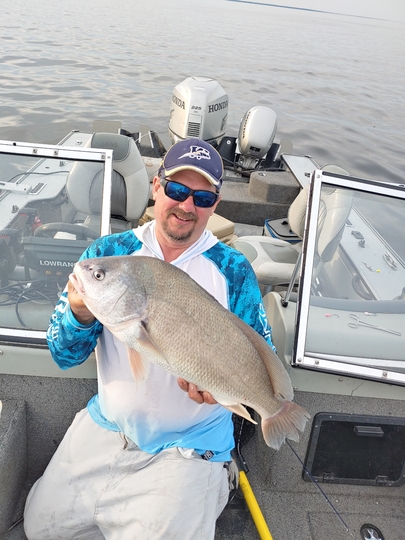 Freshwater Drum