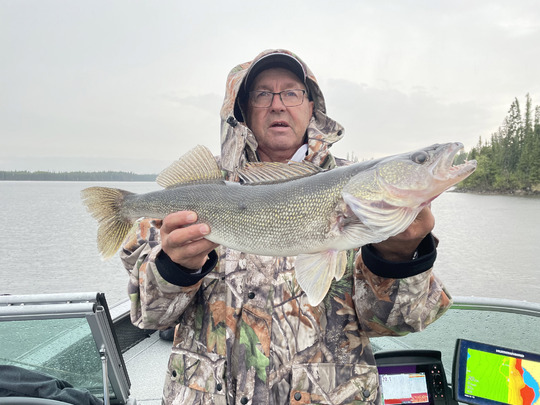 Walleye