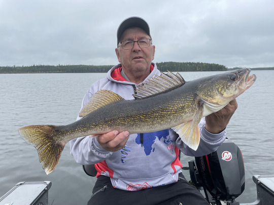 Walleye