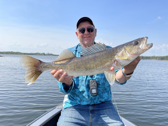 Walleye