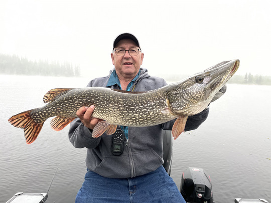 Northern Pike