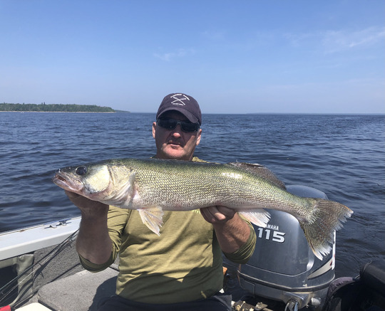 Walleye