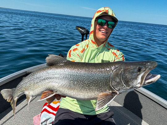 Lake Trout