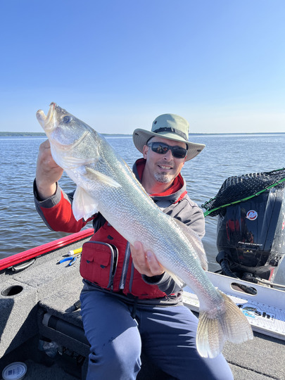 Walleye