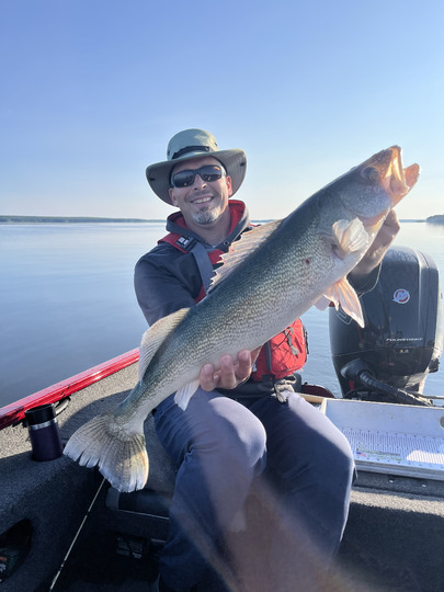Walleye