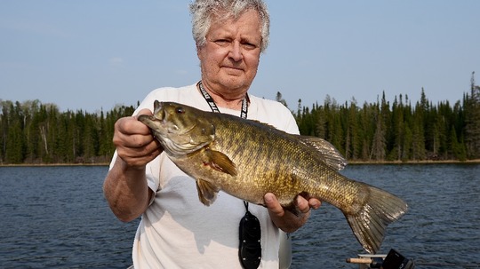 Smallmouth Bass