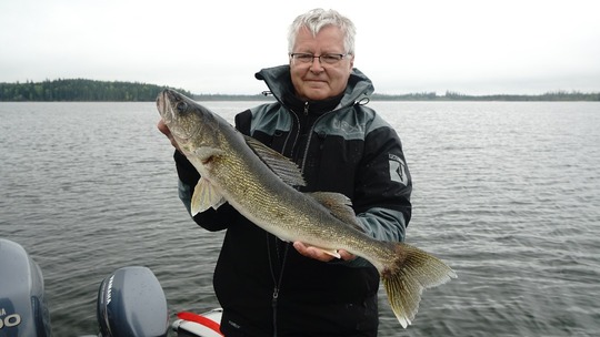 Walleye