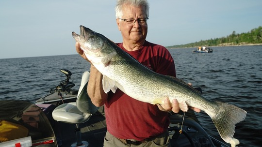 Walleye