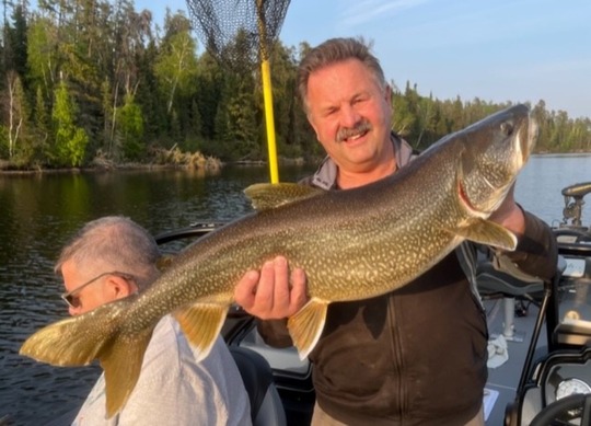 Lake Trout