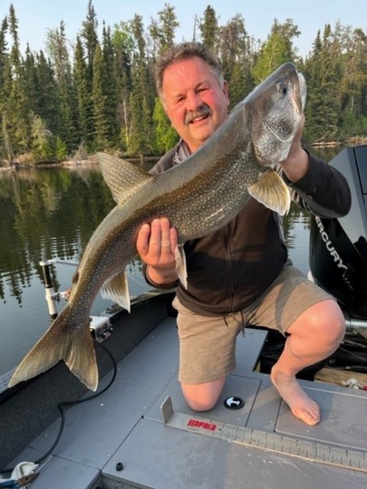 Lake Trout