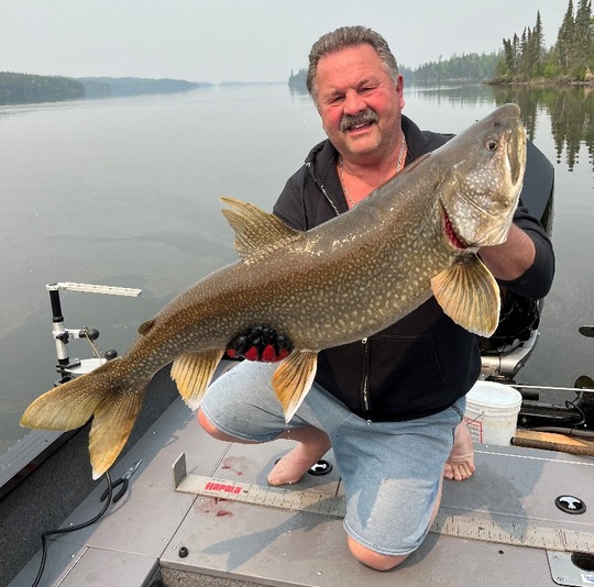 Lake Trout