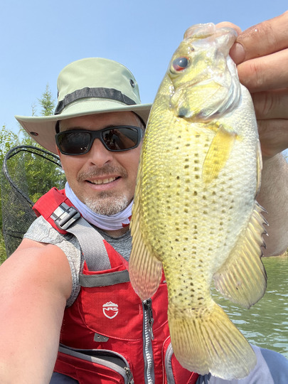 Rock Bass