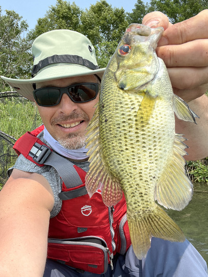Rock Bass