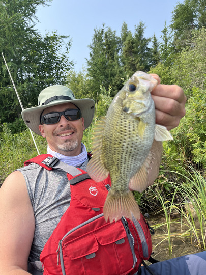 Rock Bass