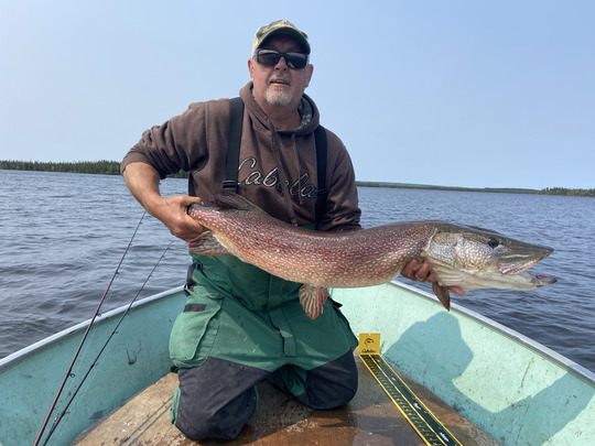 Northern Pike