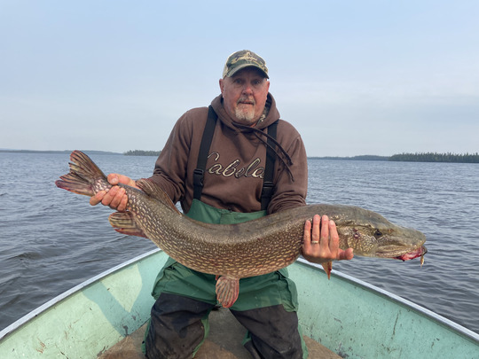 Northern Pike