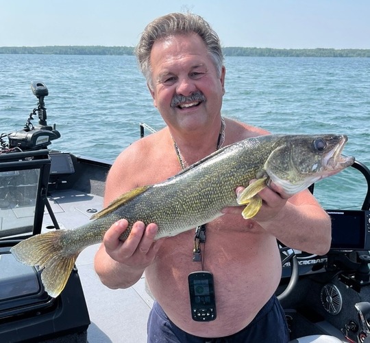 Walleye