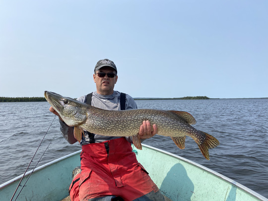 Northern Pike