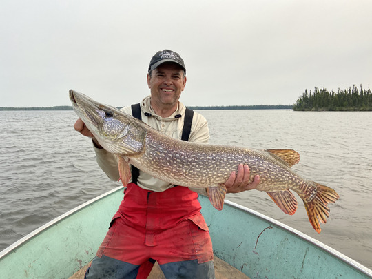 Northern Pike