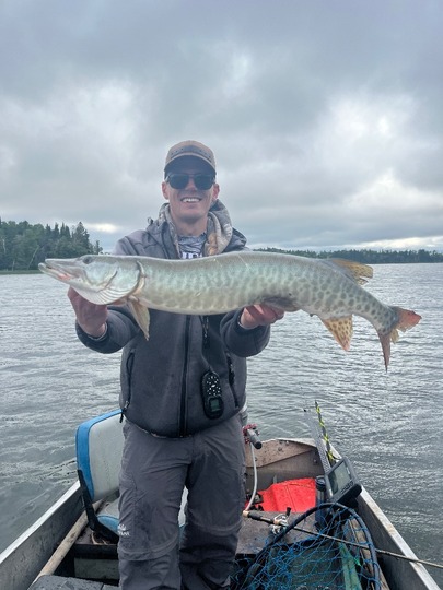Muskellunge