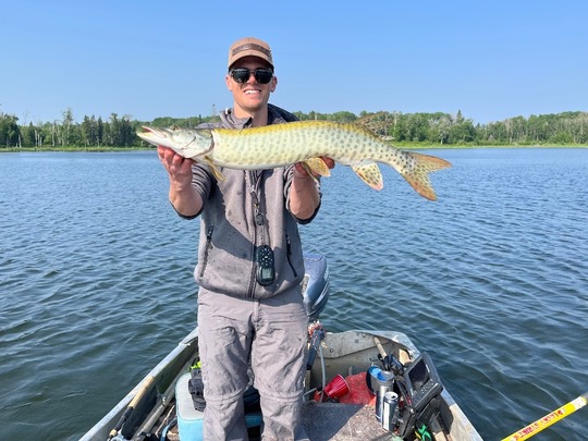 Muskellunge
