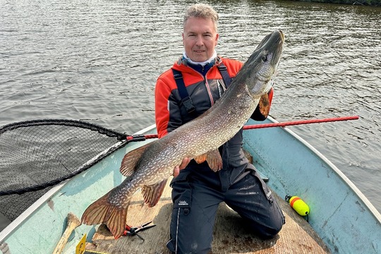 Northern Pike
