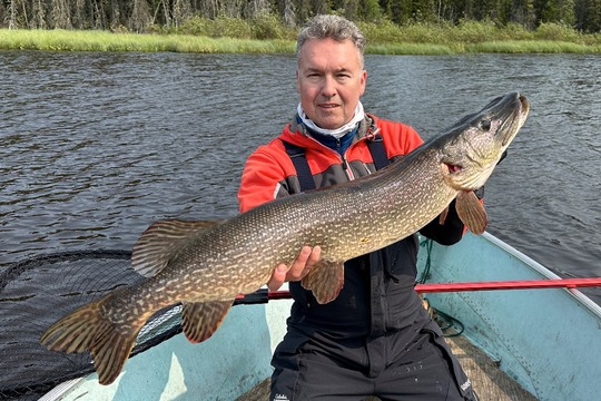 Northern Pike