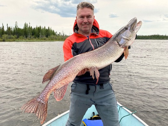 Northern Pike