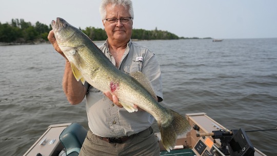Walleye