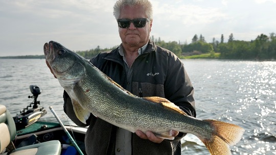 Walleye