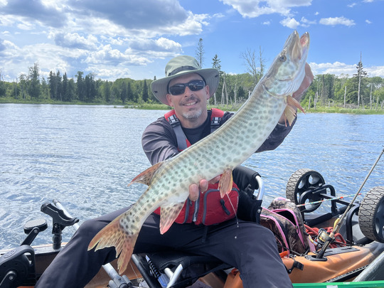 Muskellunge