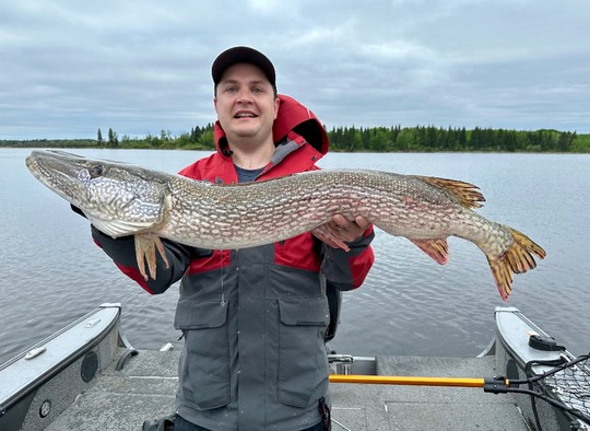 Northern Pike