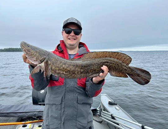 Burbot