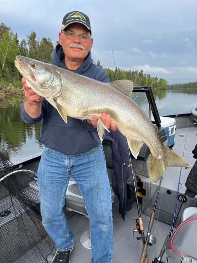 Lake Trout