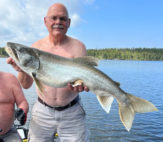 Lake Trout