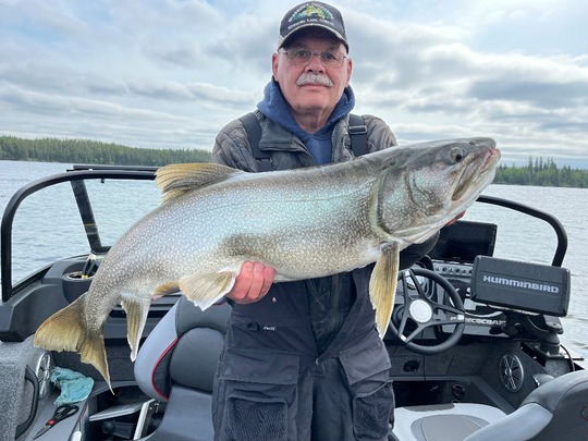 Lake Trout