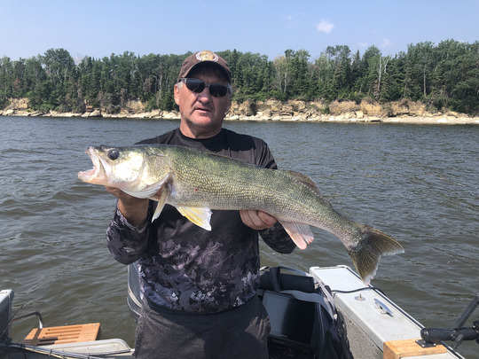 Walleye