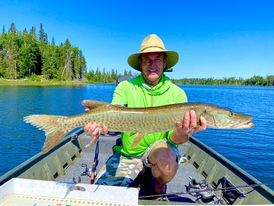 Muskellunge