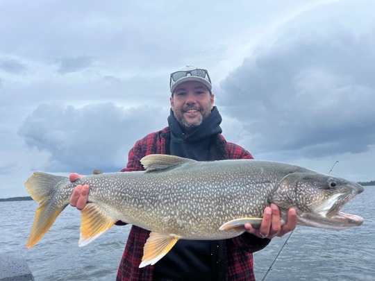 Lake Trout