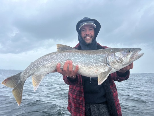 Lake Trout