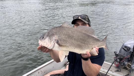 Freshwater Drum