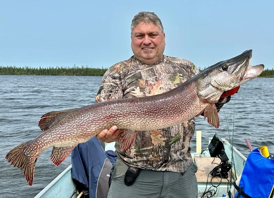Northern Pike